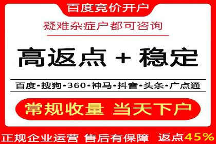 SEM广告投放策略案例分析